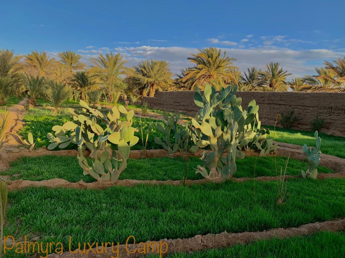 Palmyra Luxury Camp Merzouga Exterior foto